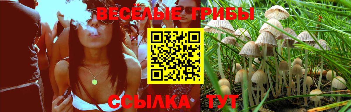 Псилоцибиновые грибы мухоморы Лабытнанги